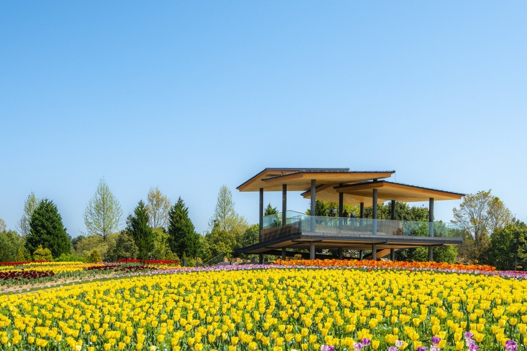🌳 국영 비호쿠 언덕 공원(고쿠에이 비호쿠 규료코엔) 이미지 1